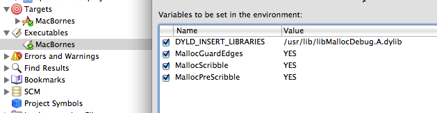 Setting environment variables in Xcode.